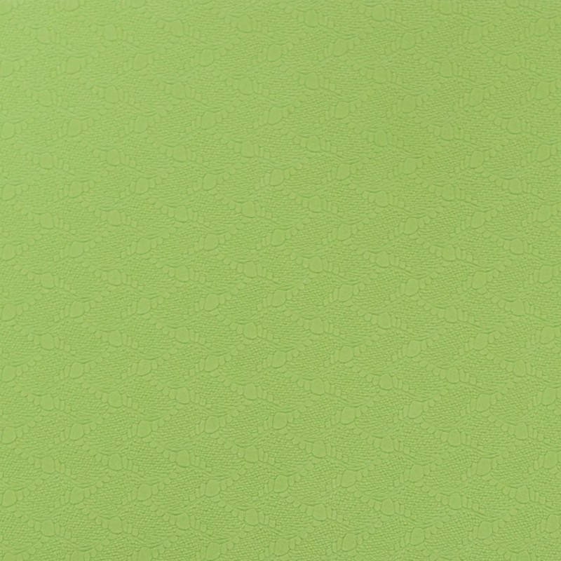 Esterilla Yoga Maximpro TPE Jooga 5mm Verde