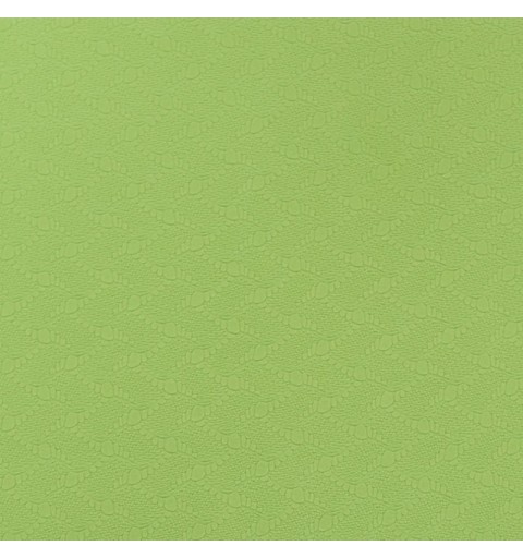 Esterilla Yoga Maximpro TPE Jooga 5mm Verde