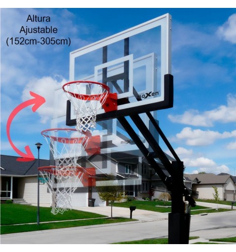 Canasta Baloncesto Fija Moxen Mamba