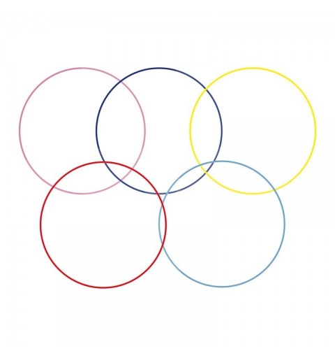 Aro Gimnasia Rítmica Carola Gala 75cm Junior