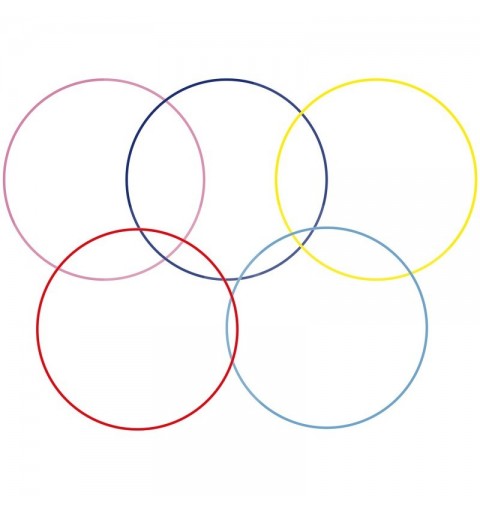 Aro Gimnasia Rítmica Carola Gala 90cm Senior