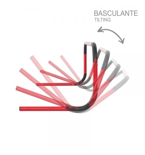 Valla Basculante Zastor Brisk